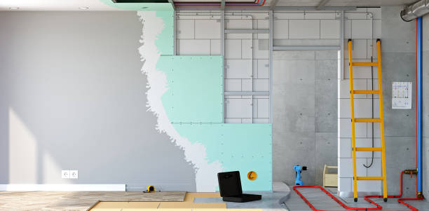 Best Forensic Mold Investigation  in West Wareham, MA