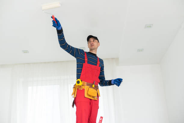 Best Mold Prevention Services  in West Wareham, MA